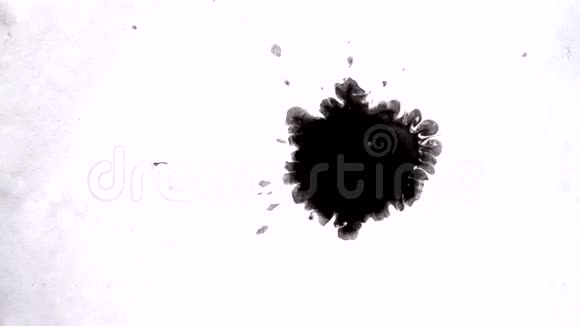 白色表面的黑色墨水抽象污渍视频的预览图