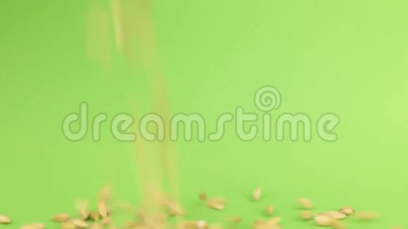 青屏上一堆大麦上掉落的大麦视频的预览图