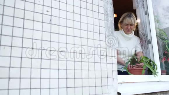 开着窗户的女人在家种植物视频的预览图