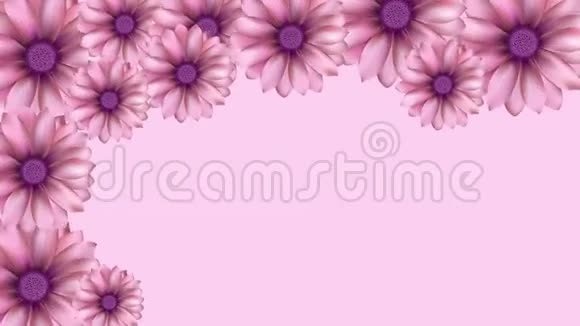 用粉色花朵滚动的动画视频的预览图