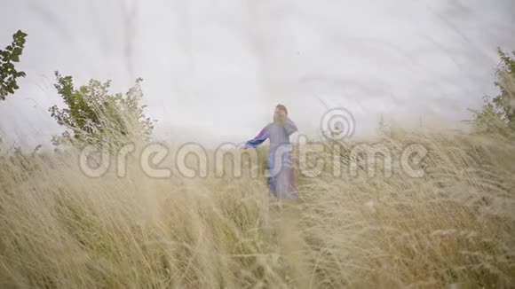 美丽无忧无虑的白种人女孩穿着漫长的夏季时尚连衣裙走在田野上休闲和周末视频的预览图