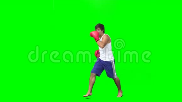 拳击手表演空中踢腿视频的预览图