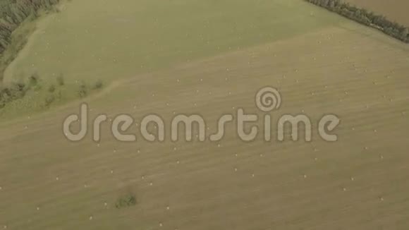 一堆干草堆在地上空中录像视频的预览图