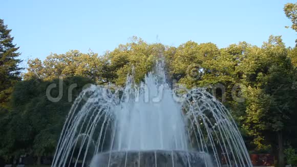 公共公园的喷泉视频的预览图