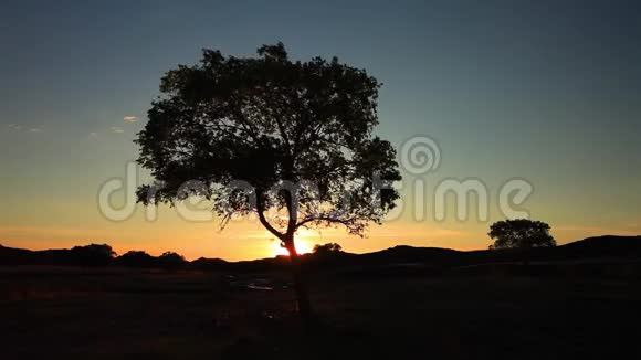 日落夏野寂寞树视频的预览图