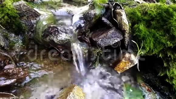 小瀑布在秋天的绿色岩石中视频的预览图