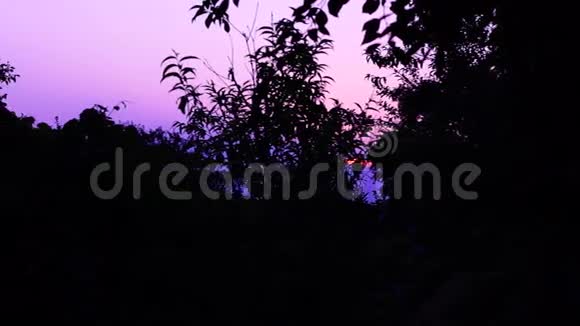 花园中的树木剪影粉红之光潘视频的预览图
