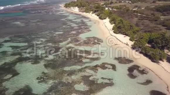 可鸟瞰博伊斯乔兰海滩泻湖大特尔瓜德罗普加勒比视频的预览图