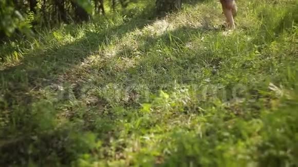 在树林里散步的小女孩视频的预览图