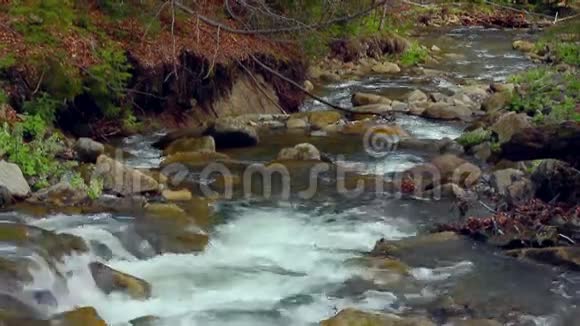 春天的小瀑布小河里的急流在森林里流淌视频的预览图