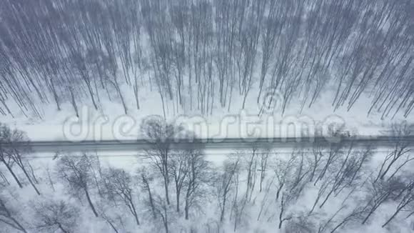 穿越冬季森林的道路上的交通鸟瞰图视频的预览图