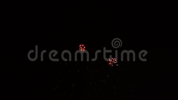 一个多色烟花在节日的夜晚爆炸视频的预览图