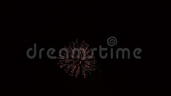 一个多色烟花在节日的夜晚爆炸视频的预览图