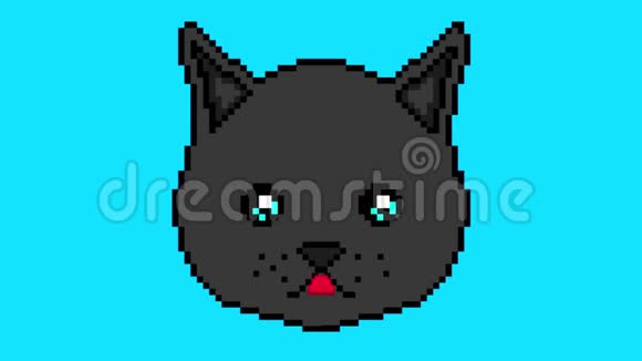像素猫用眼睛移动在蓝色背景上显示舌头准备在任何项目中使用视频的预览图