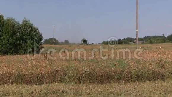农业机械收获成熟的干豌豆植物鹳鸟视频的预览图