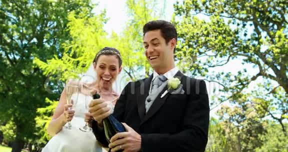 新婚夫妇在乡下喝香槟视频的预览图