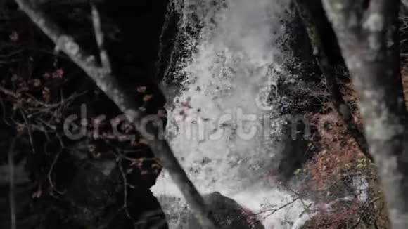 瀑布溅落在森林里的岩石上视频的预览图