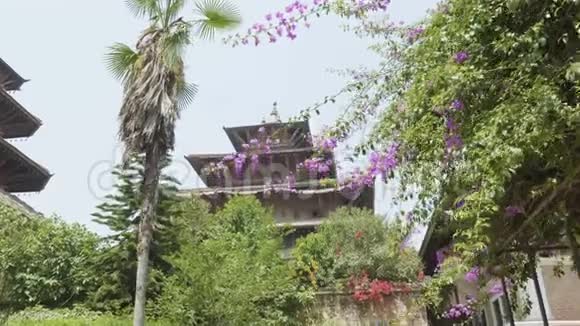 加德满都山谷的古城帕坦尼泊尔视频的预览图