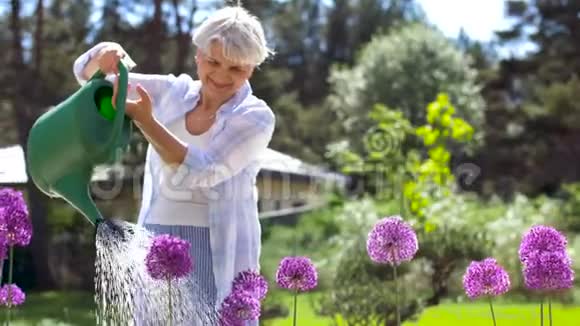 在夏园浇花的老妇人视频的预览图