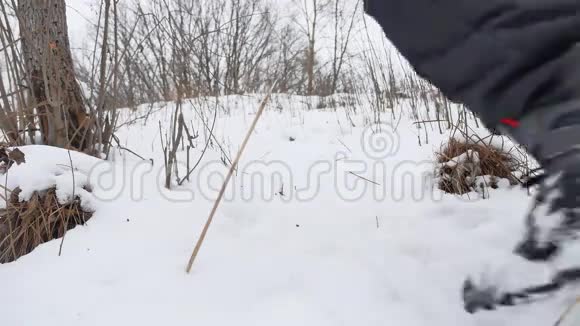 人在雪地里走野林爬山冬天的风景视频的预览图