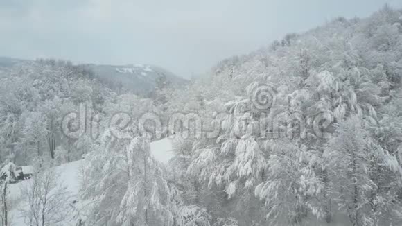 鸟瞰覆盖着雪的冬季森林冬季高山草甸覆盖着森林的白色山丘飞越上空视频的预览图