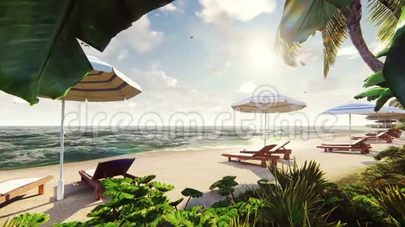 热带岛屿上的棕榈树阳光明媚天空湛蓝海滩极富异国情调美丽的无缝循环的夏天视频的预览图