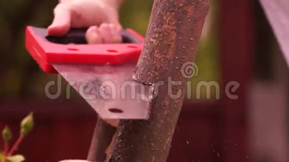 女人用手锯木头树枝锯是一种工具由硬刀片电线或带齿边的链条组成视频的预览图