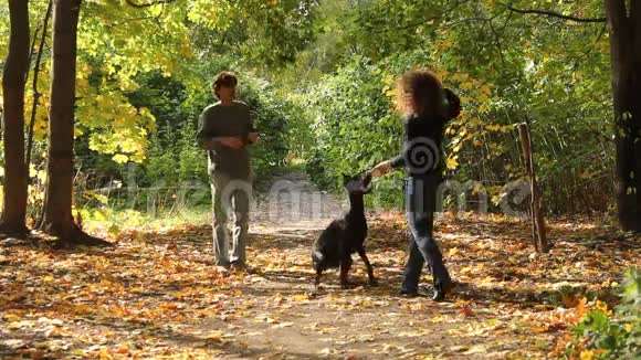 一家人在公园里玩狗视频的预览图