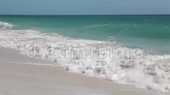 野生海滩PlayaLosCocos加勒比卡约拉戈岛冲浪视频的预览图