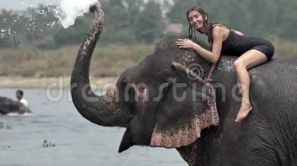 女孩给大象洗澡视频的预览图