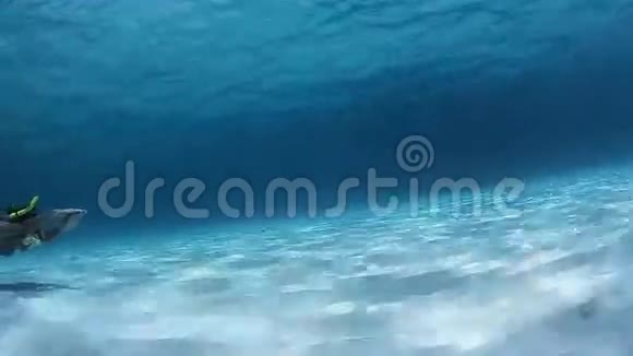 女潜水员视频的预览图