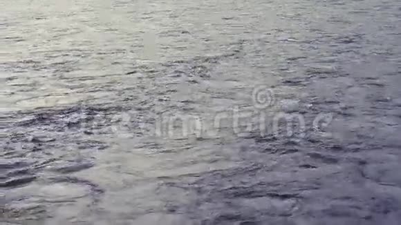 阿尔泰山脉的特莱茨科耶湖的水流视频的预览图