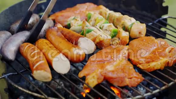 花园里烤架上热煤上不同种类的多汁肉视频的预览图