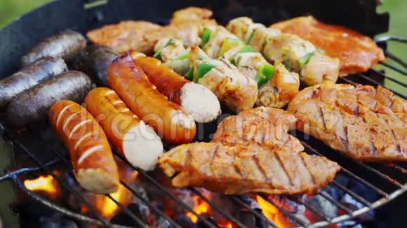 花园里烤架上热煤上不同种类的多汁肉视频的预览图