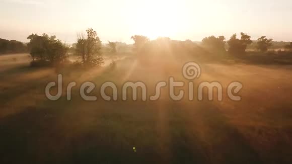 黎明时分雾笼罩着河流的空中景色乌克兰视频的预览图