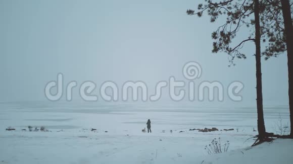 冬天的雪假在冰冻的河流附近的森林里雾蒙蒙的多云天气带着混血狗的年轻女子视频的预览图