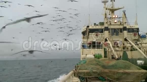 海鸥在渔船后面翱翔视频的预览图