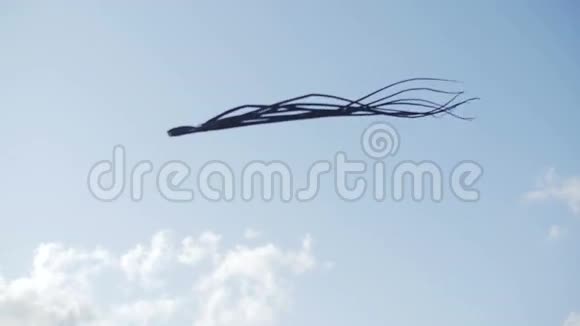 以章鱼的形式风筝在天空中飞翔视频的预览图
