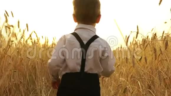 日落时分小男孩正在田野里散步视频的预览图