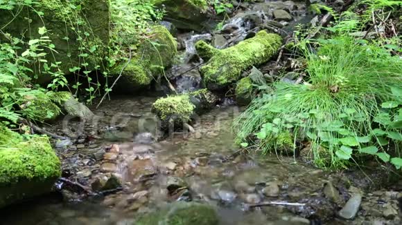 美丽的小溪和有绿色苔藓的石头视频的预览图