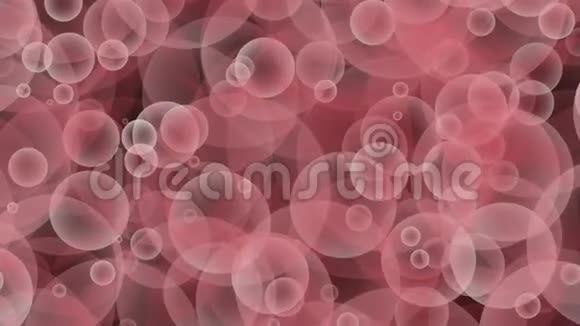 粉色红色勃艮第灰色无缝上升气泡漂浮和慢移动循环颗粒气泡动画黑色背景视频的预览图
