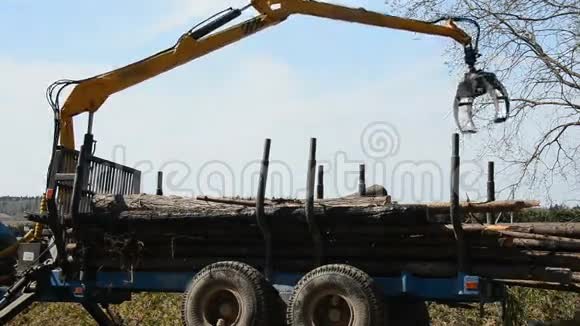 带有起重机的专用货运卡车从卡车上卸下原木森林倒下了视频的预览图
