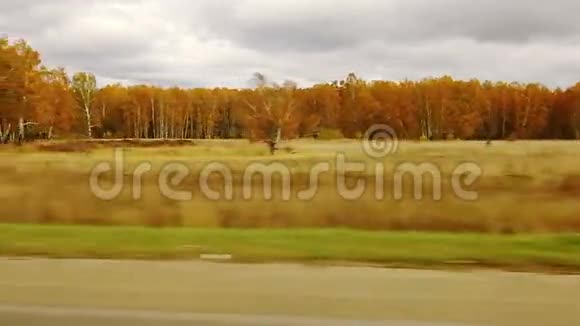 秋季森林运动视频的预览图
