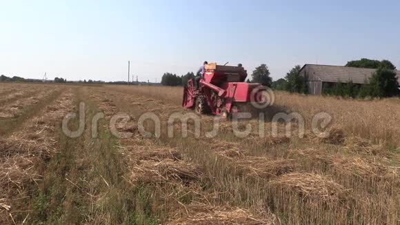 收割机工作大麦玉米地农村活动视频的预览图