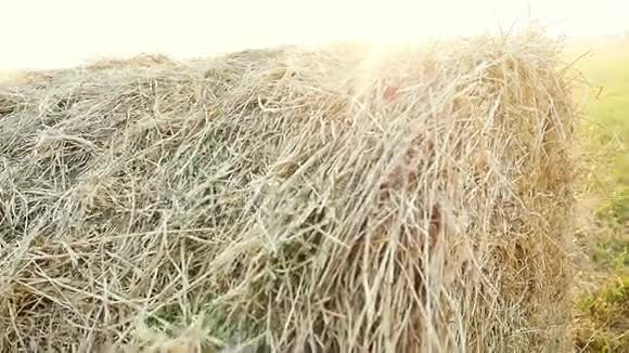 在美丽的日落背景下用干草堆缓慢移动的夏日农场风景农业概念视频的预览图