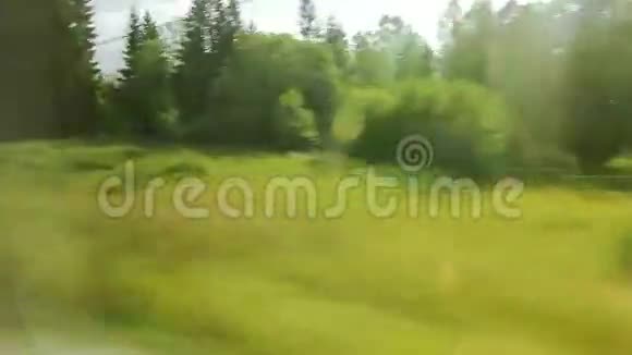 高速列车在闪烁的树木POV视频的预览图
