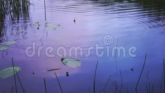 钓鱼漂浮在湖里视频的预览图