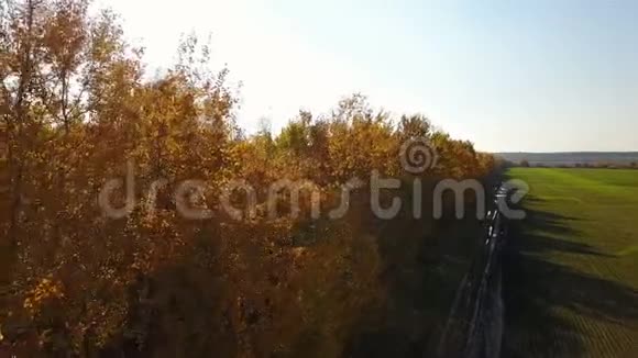 秋天的田野里有黄树视频的预览图