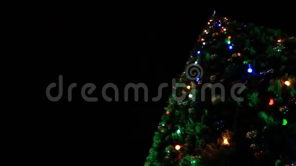 圣诞树花环灯视频的预览图