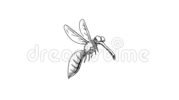 蚊蝇卡通2D动画视频的预览图